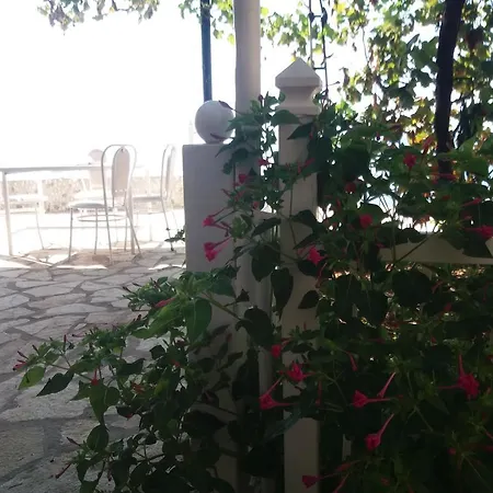 Apartment Pano